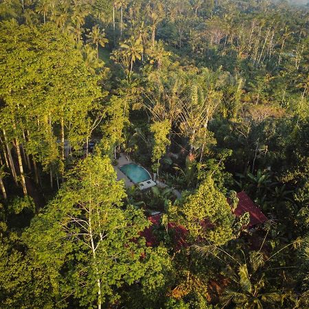 Daydream Lodge Tampaksiring Eksteriør billede