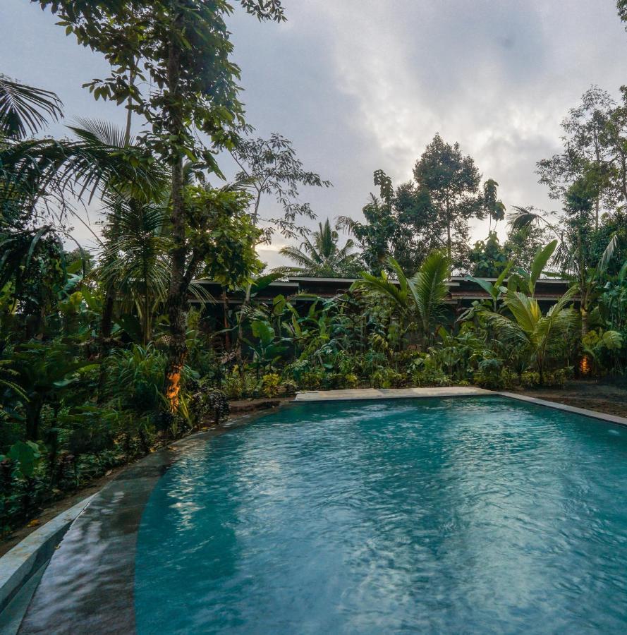 Daydream Lodge Tampaksiring Eksteriør billede