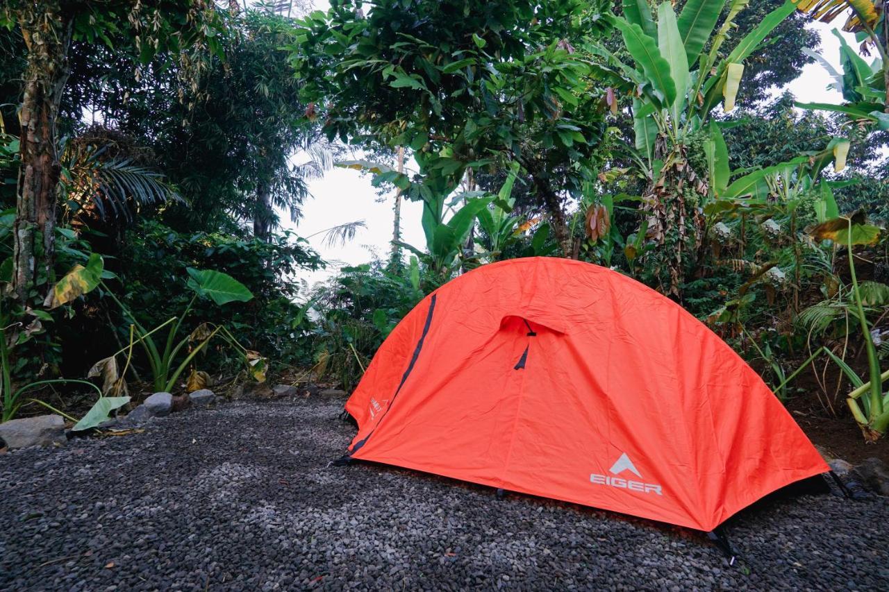 Daydream Lodge Tampaksiring Eksteriør billede