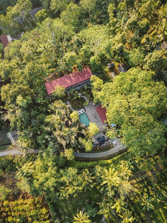 Daydream Lodge Tampaksiring Eksteriør billede