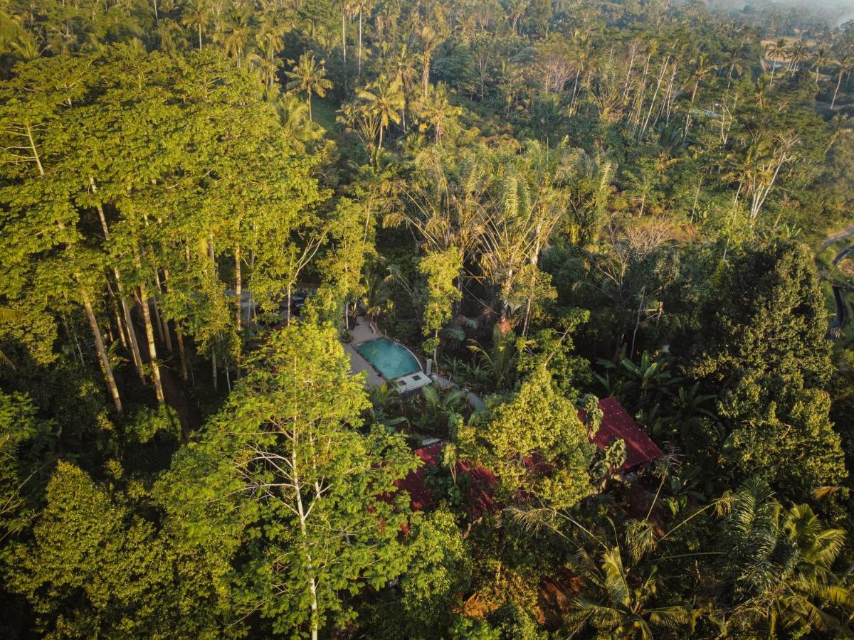 Daydream Lodge Tampaksiring Eksteriør billede