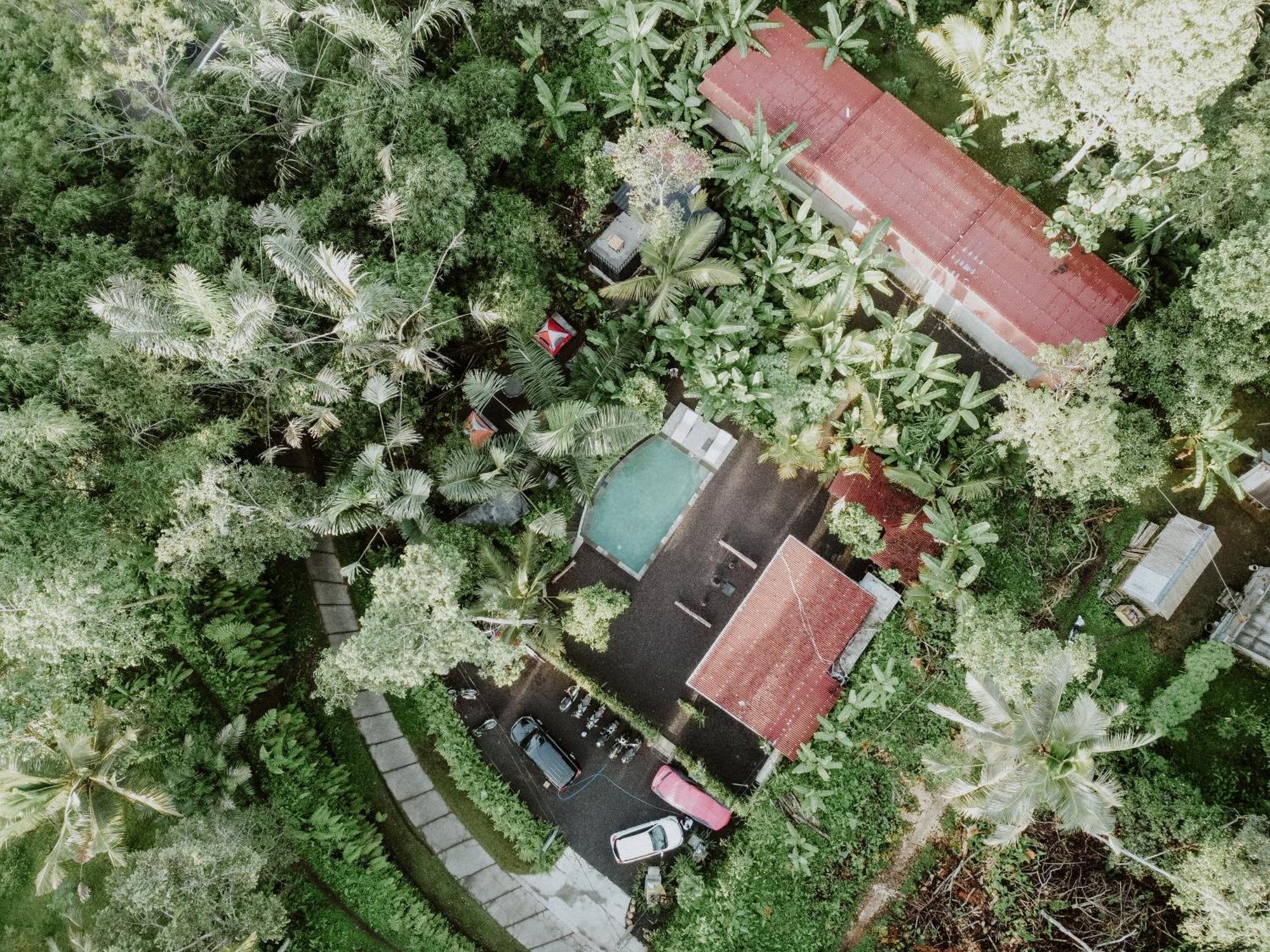 Daydream Lodge Tampaksiring Eksteriør billede