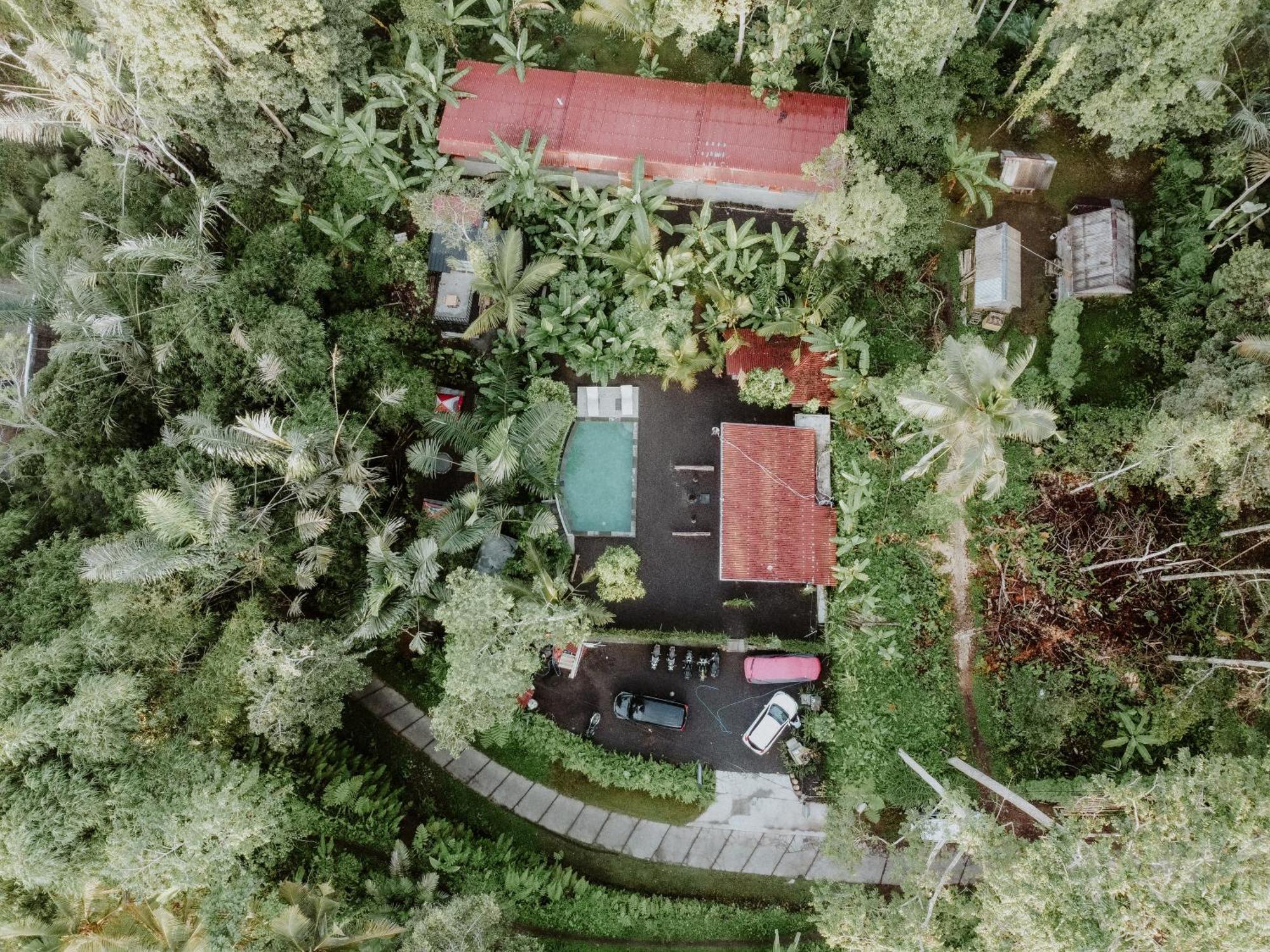 Daydream Lodge Tampaksiring Eksteriør billede